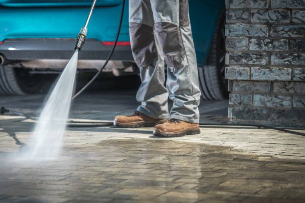 Best Gutter Cleaning  in Alexandria, MN