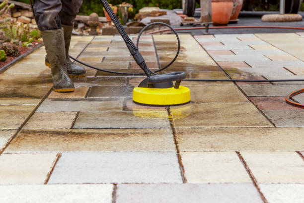 Best Building Exterior Washing  in Alexandria, MN